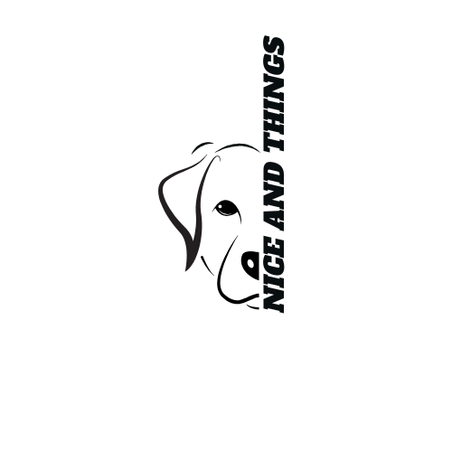 Nice and Things Logo